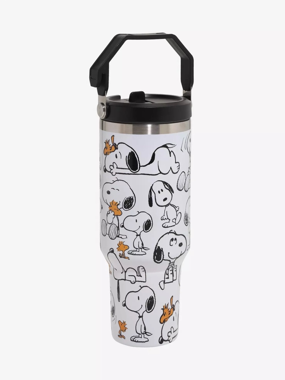 Peanuts Snoopy & Woodstock Poses Stainless Steel Tumbler 40oz